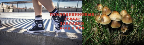 Альфа ПВП Фурманов