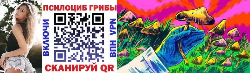 Купить где  Тайга  Галлюциногенные грибы MAGIC MUSHROOMS 